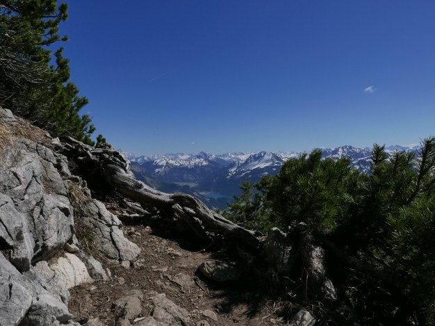Alpen_Einstein_Tannheimer Tal