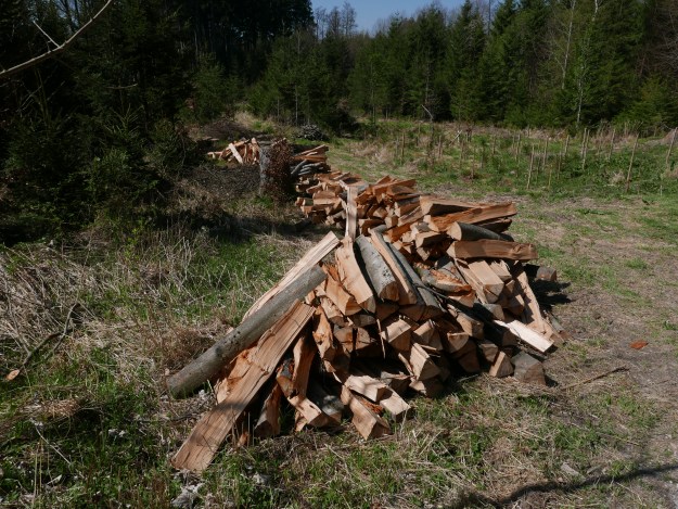 Wald_Holz_Unterallgäu_Wandern