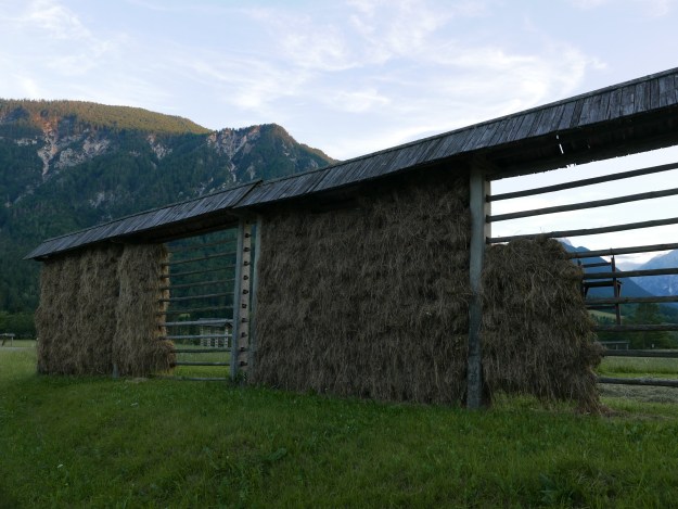 Slowenien_Heureiter_Harpfen_Kozolec