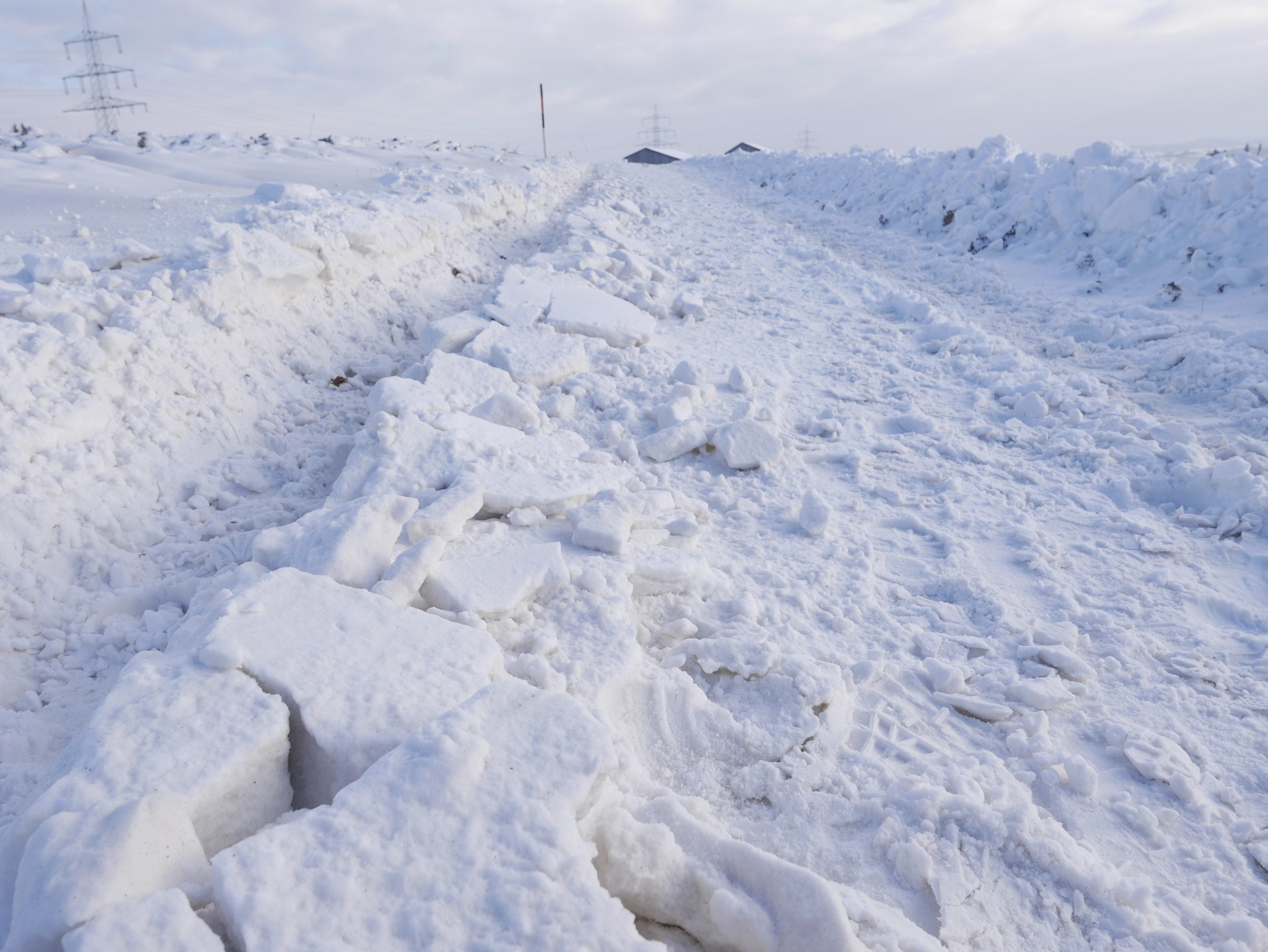 Winter_Schnee_Feldweg_Allgäu