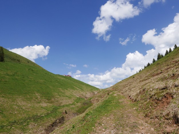Allgäu_Hochgrat_Voralpen_Frühling